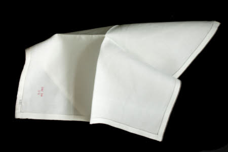 Napkin