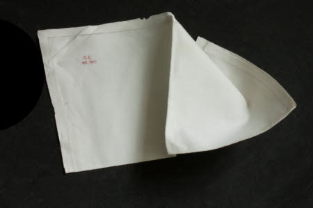 Napkin