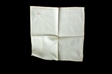 Napkin