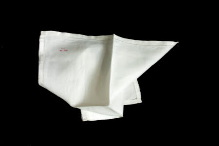 Napkin