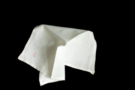 Napkin