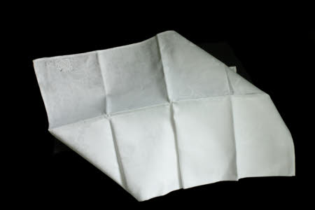 Napkin