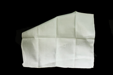 Napkin