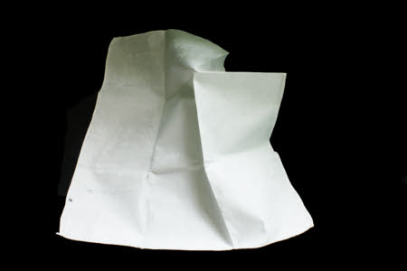 Napkin