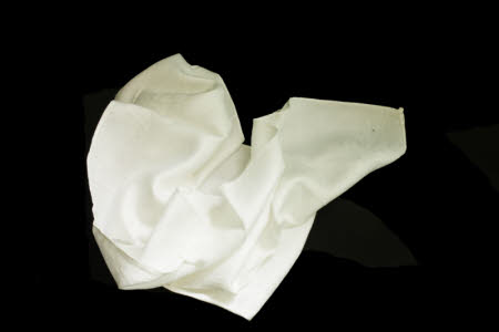 Napkin