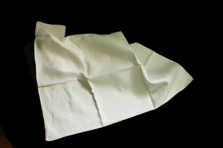 Napkin