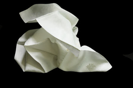 Napkin