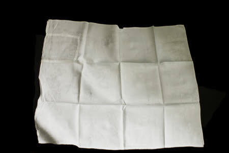 Napkin