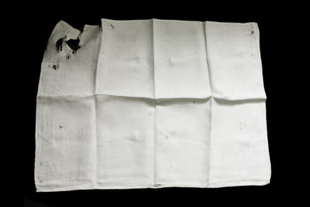 Napkin