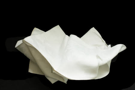 Napkin