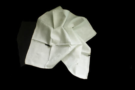 Napkin