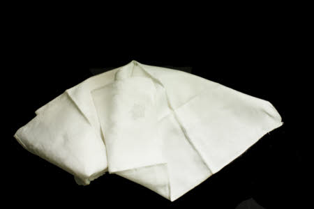 Napkin
