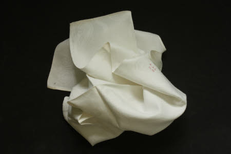Napkin