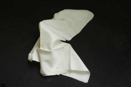 Napkin