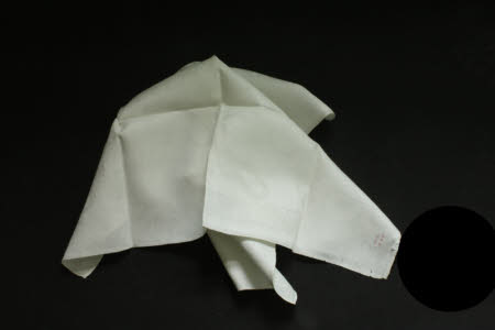 Napkin