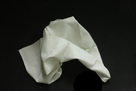Napkin