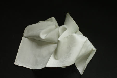 Napkin