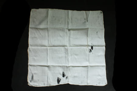 Napkin