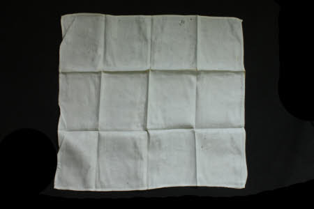 Napkin