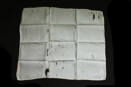 Napkin