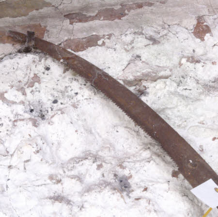 Pruning saw