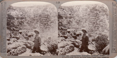  On the inhospitable Gallipoli hillsides where the burning bush drove us from many hard won ...