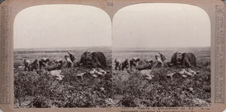Gunners dig a gun-pit for a 4.5 Howitzer completely concealed from enemy airmen.