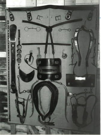 Bridle