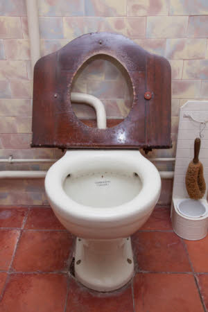 Lavatory seat