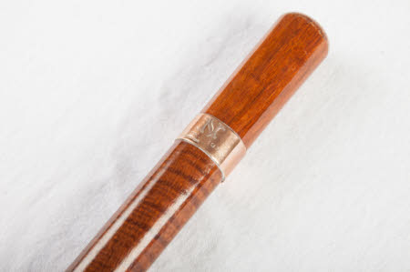 Walking stick