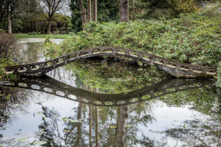 Bridge