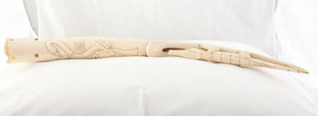 Ivory tusk
