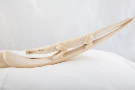 Ivory tusk