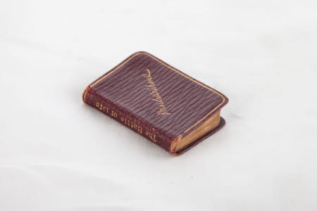 The battle of life :. a love story /