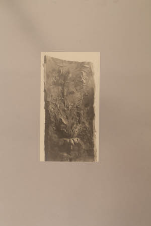 Dyrham Park © National Trust / Clive James and Rod Stowell 