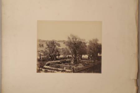 Photograph on card