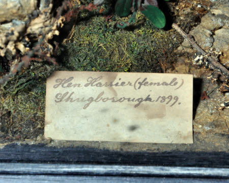 Shugborough © National Trust / Pat Morris