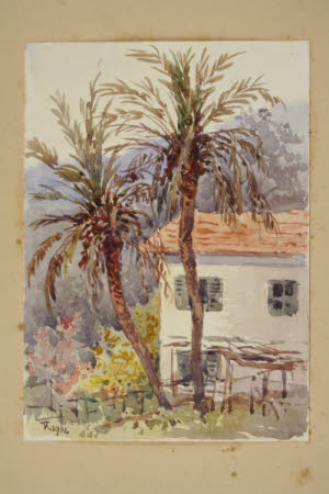 In the Olive Wood, San Remo