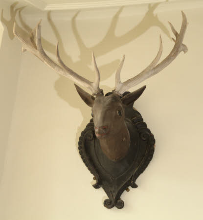 Deer head