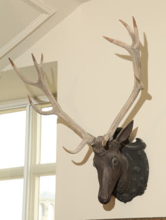 Deer head