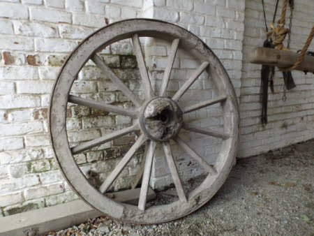 Cart wheel