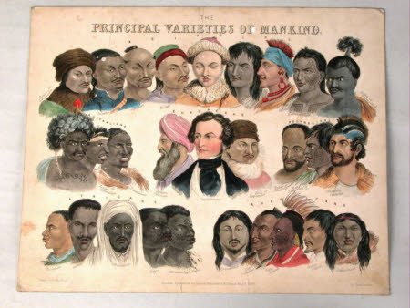 The Principal Varieties of Mankind 286520 | National Trust Collections