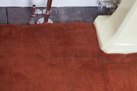 Carpet