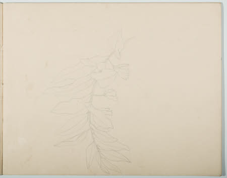 Wightwick Manor © National Trust / Brain Gornall