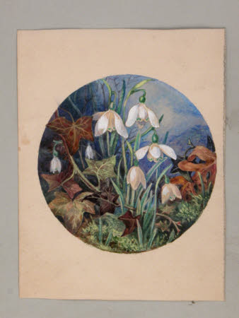 Watercolour