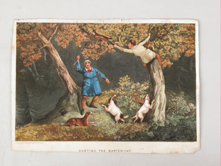 Hunting the marten-cat 