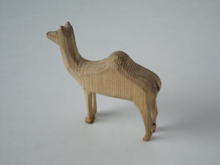 Camel