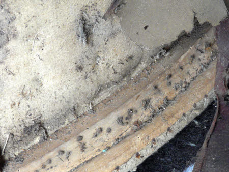 Tyntesfield © National Trust / Volunteer Photographic Team