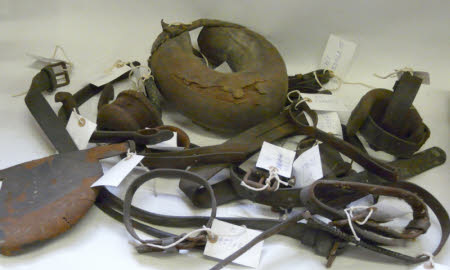 Horse harness