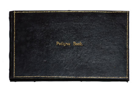 Pedigree book